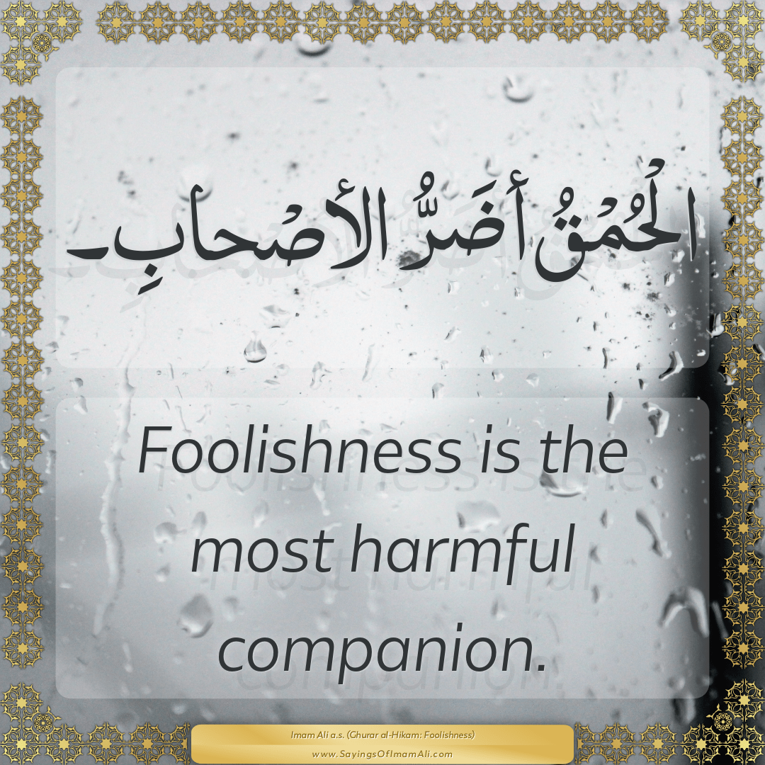 Foolishness is the most harmful companion.